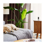 Ring Indoor Cam (2nd Gen) 1080p HD Smart Security Camera